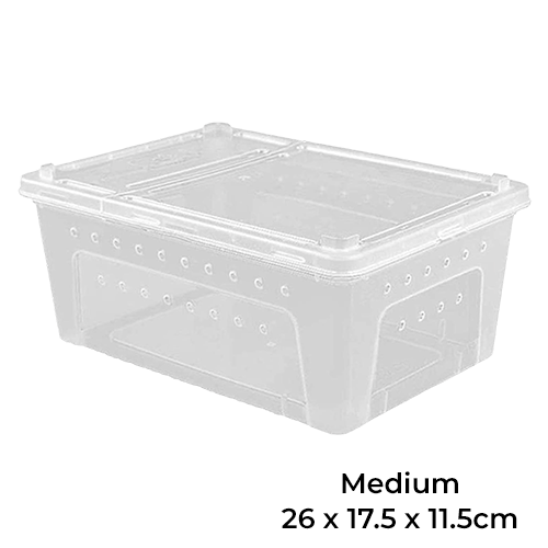 Terrarium Box