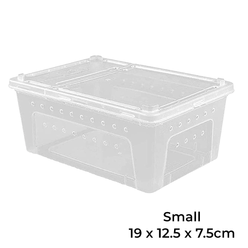 Terrarium Box