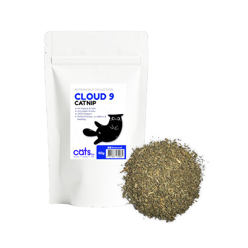 CatsCo Cloud 9 Catnip