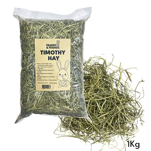 Timothy Hay