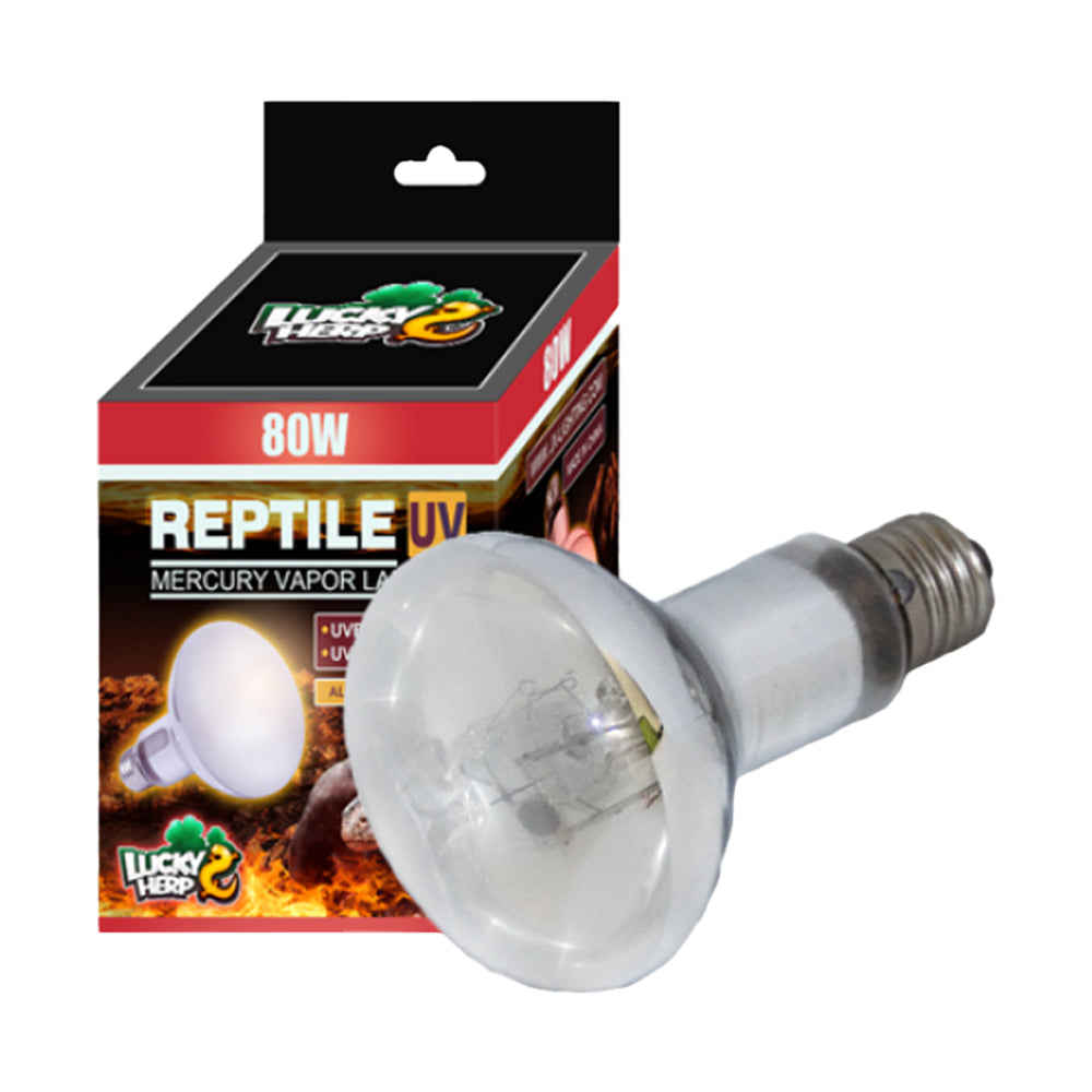 Mercury Vapor Bulb R115 80W Coated
