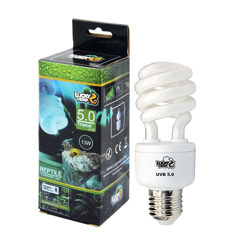 Cfl 13W Uvb5.0