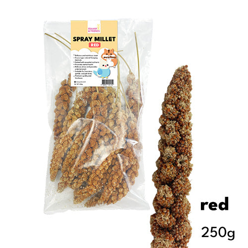 Red Spray Millet 250G