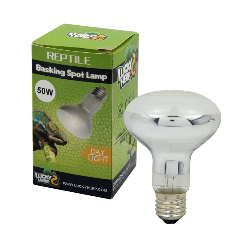 Basking Spot Lamp Ordinary