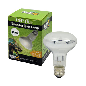 Basking Spot Lamp Ordinary