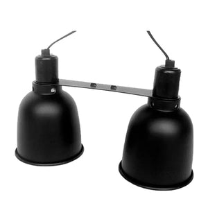 Dual Lamp Dome
