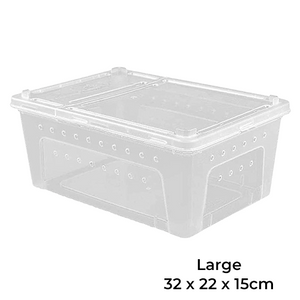 Terrarium Box
