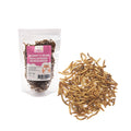Dried Mealworms