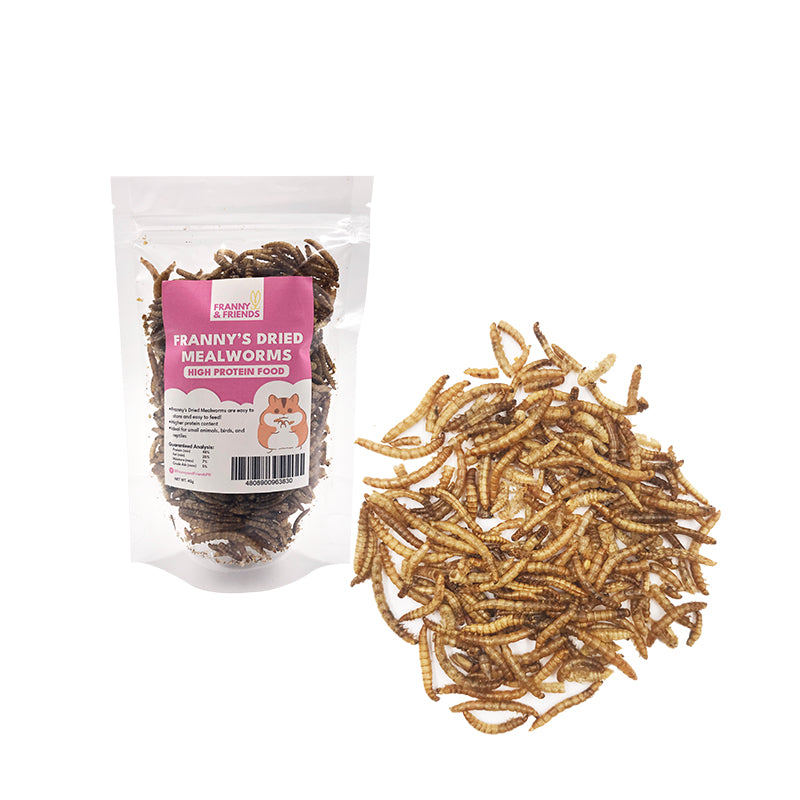 Dried Mealworms