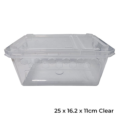 Terrarium Box Medium Clear