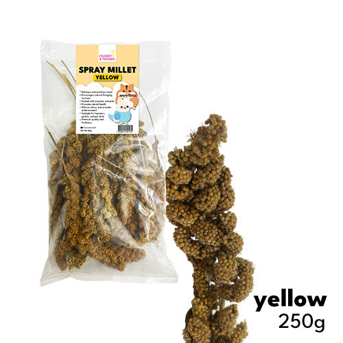 Yellow Spray Millet 250G