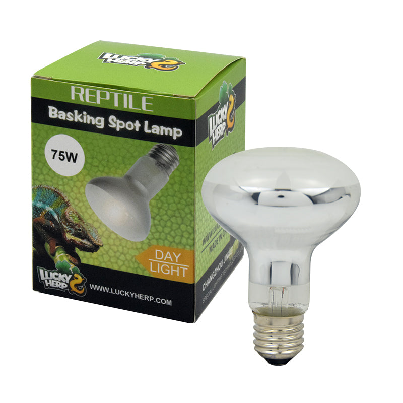 Basking Spot Lamp Ordinary 75W