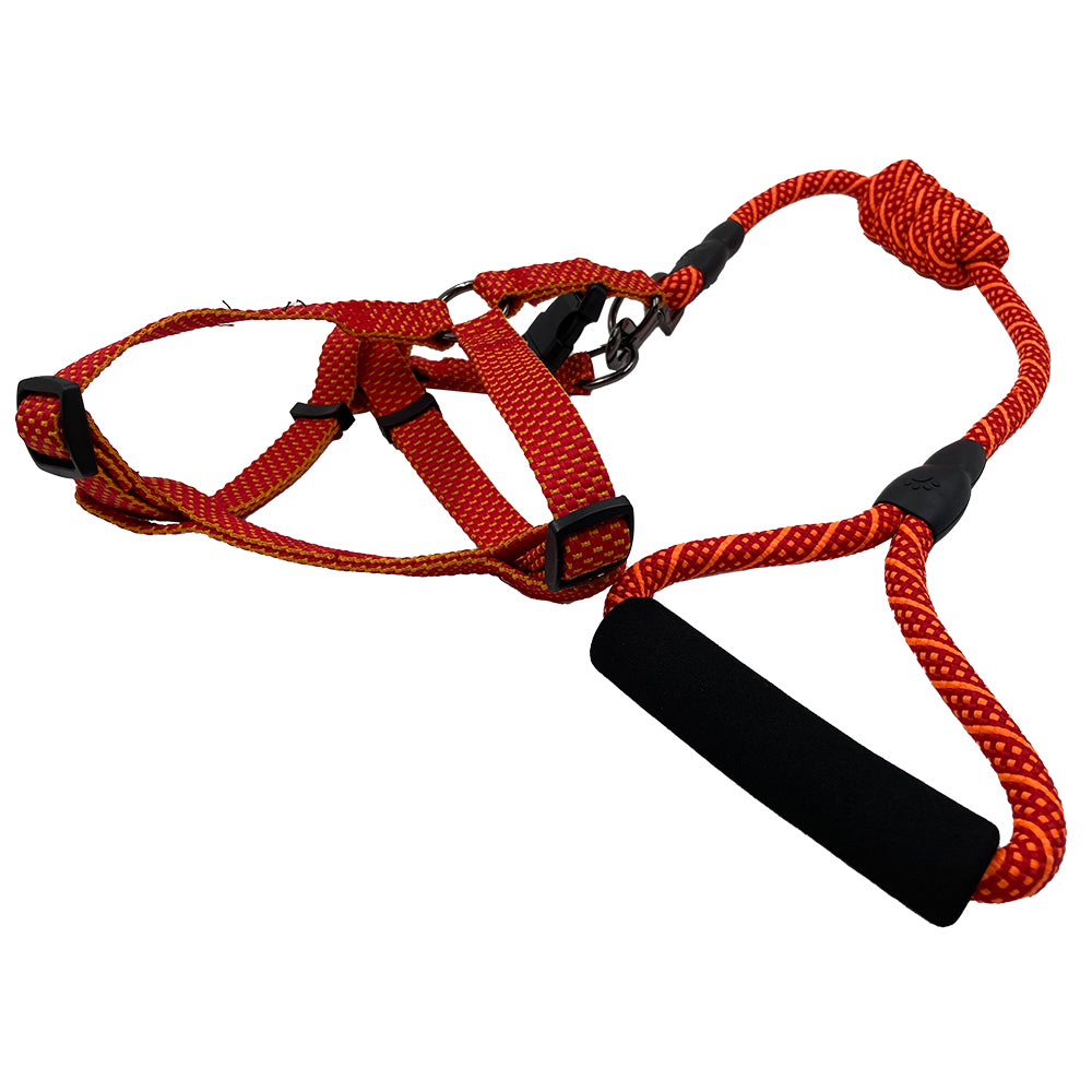 Complete 2-In-1 Adjustable Body Harness W/Leash And Padded Handle