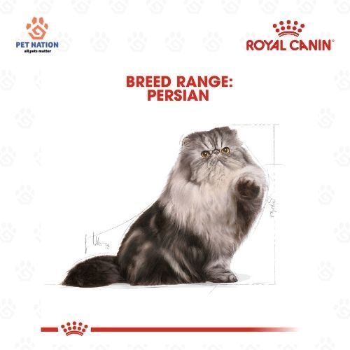 Royal Canin Persian Adult Dry Cat Food 2KG