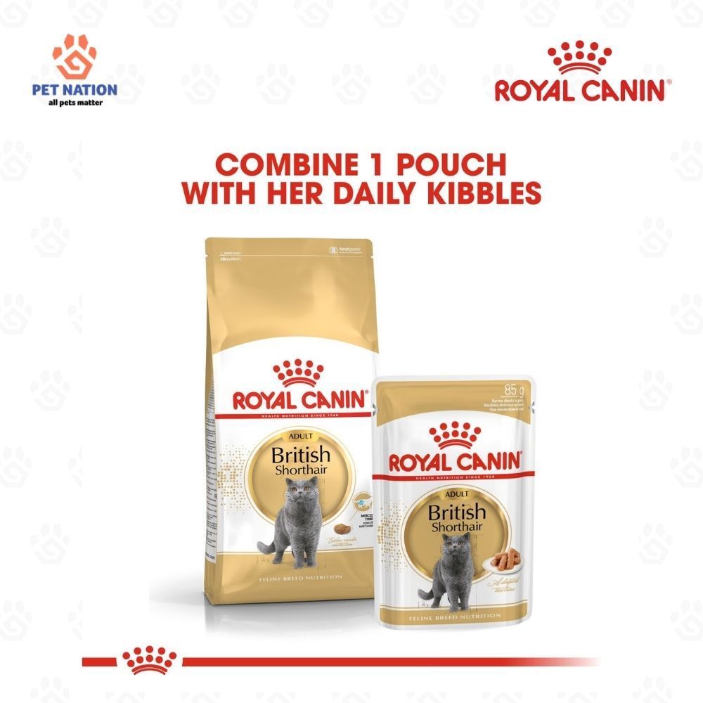 Royal Canin British Shorthair Adult Wet Cat Food in Gravy 85g Breed Specific Complete Feed