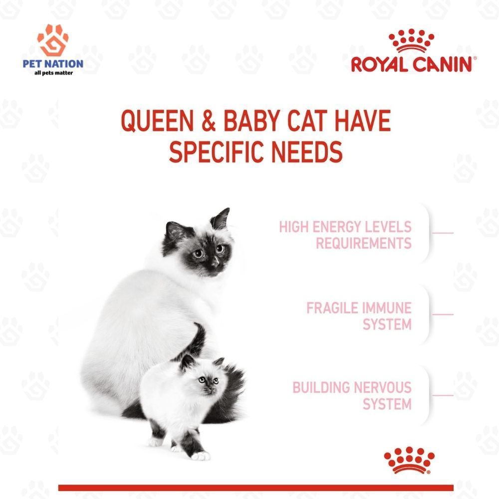 Royal Canin Mother & Babycat Dry Cat Food 400g
