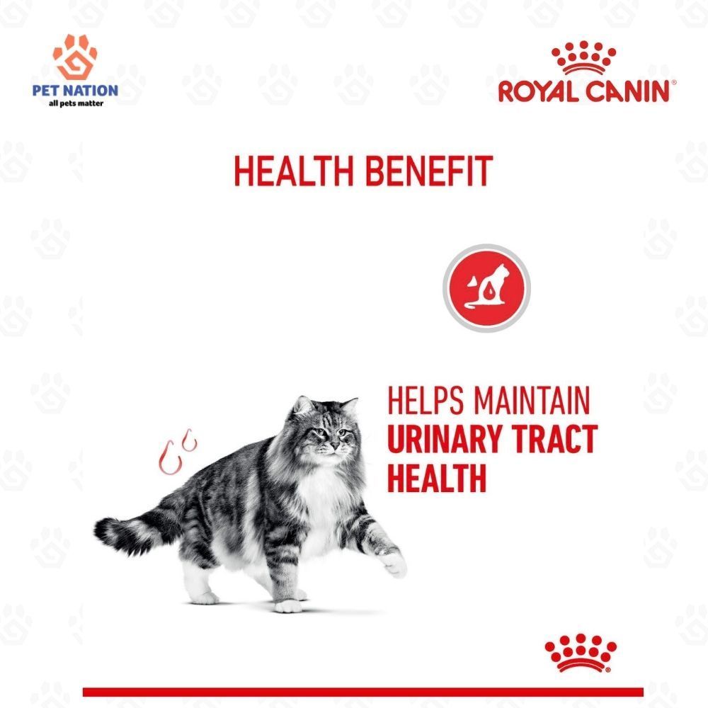 Royal Canin Urinary Care Adult Dry Cat Food 10kg