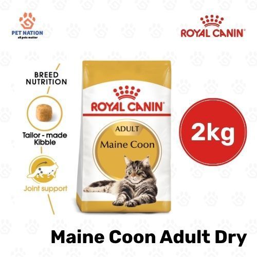 Royal Canin Maine Coon Adult Dry Cat Food