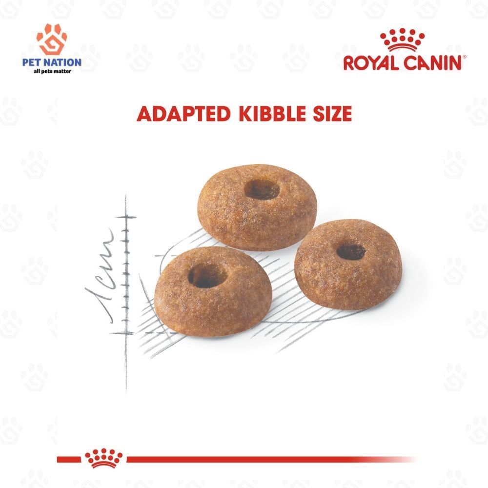 Royal Canin Fit 32 2KG Adult Dry Cat Food