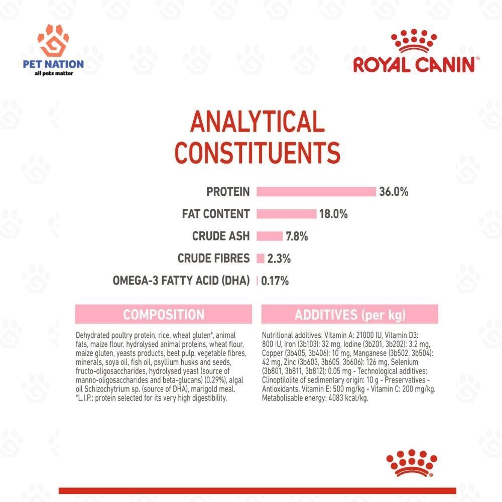 Royal Canin Kitten 36 Dry Cat Food 10kg