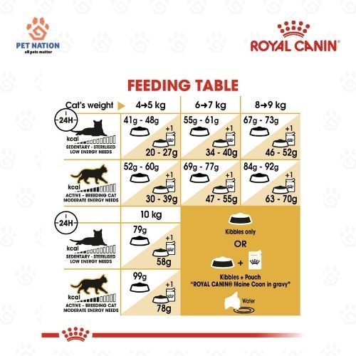 Royal Canin Maine Coon Adult Dry Cat Food