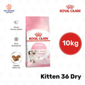 Royal Canin Kitten 36 Dry Cat Food 10kg