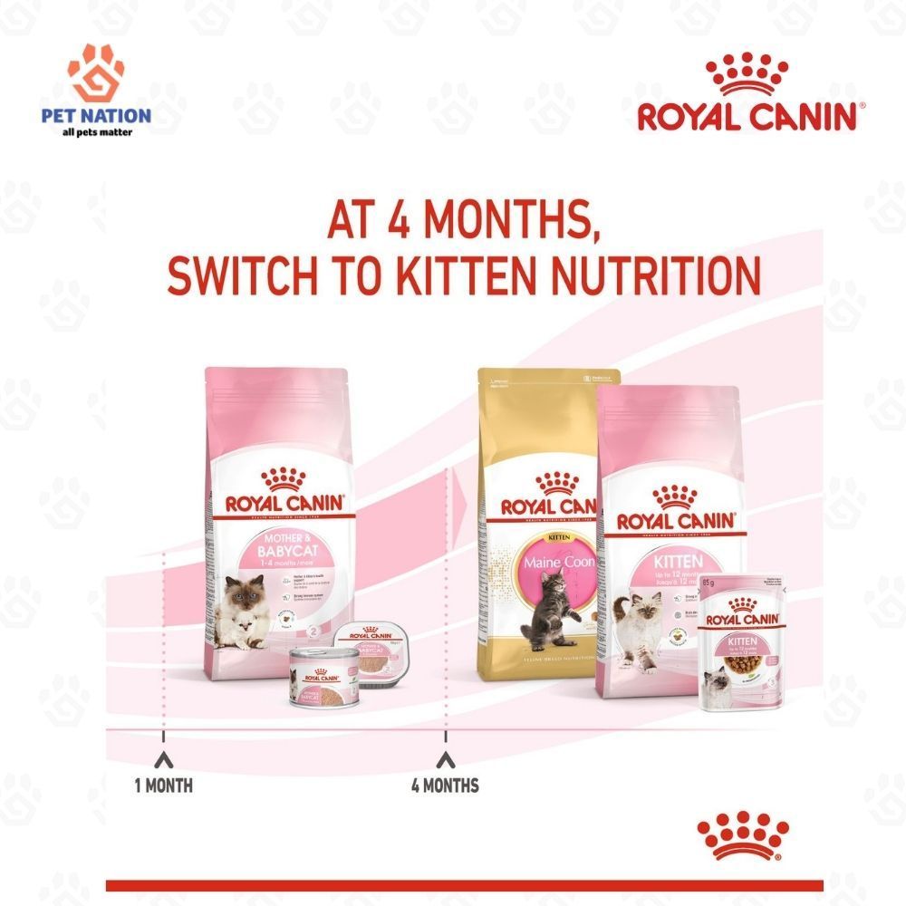 Royal Canin Mother & Babycat Dry Cat Food 400g