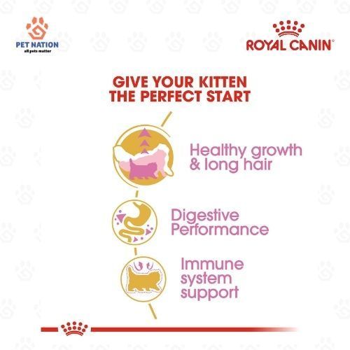 Royal Canin Persian Kitten 2KG/10KG Dry Cat Food