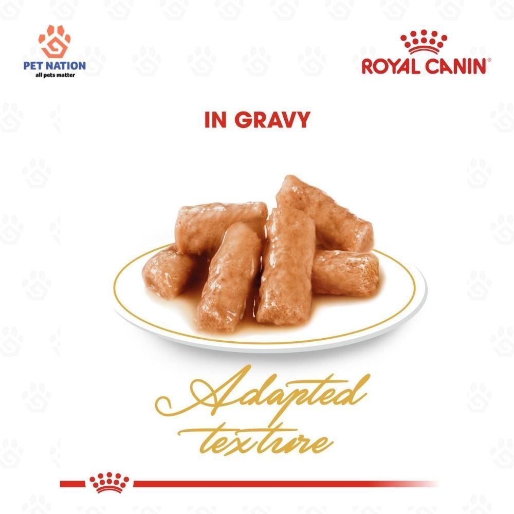 Royal Canin British Shorthair Adult Wet Cat Food in Gravy 85g Breed Specific Complete Feed