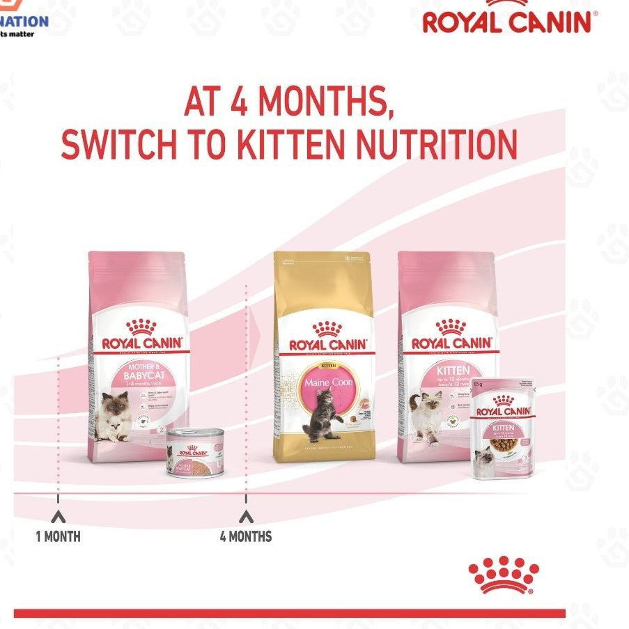 Royal Canin Mother & Babycat Ultra Soft Mousse Wet Cat Food 195g x 12 for Kittens & Queens