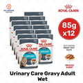 Royal Canin Urinary Care Gravy Adult Wet Cat Food 85g x 12