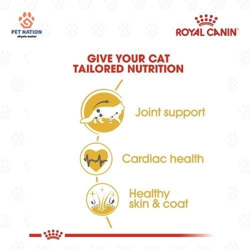 Royal Canin Maine Coon Adult Dry Cat Food