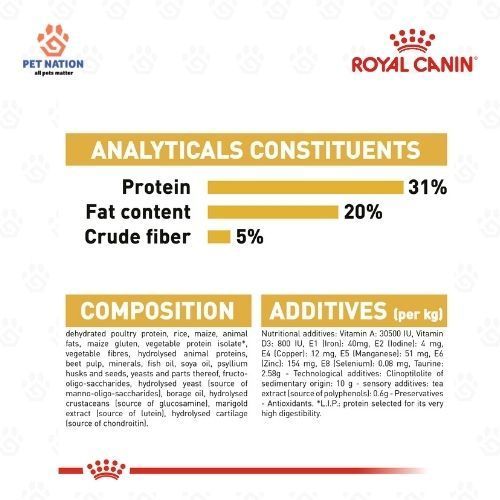 Royal Canin Maine Coon Adult Dry Cat Food