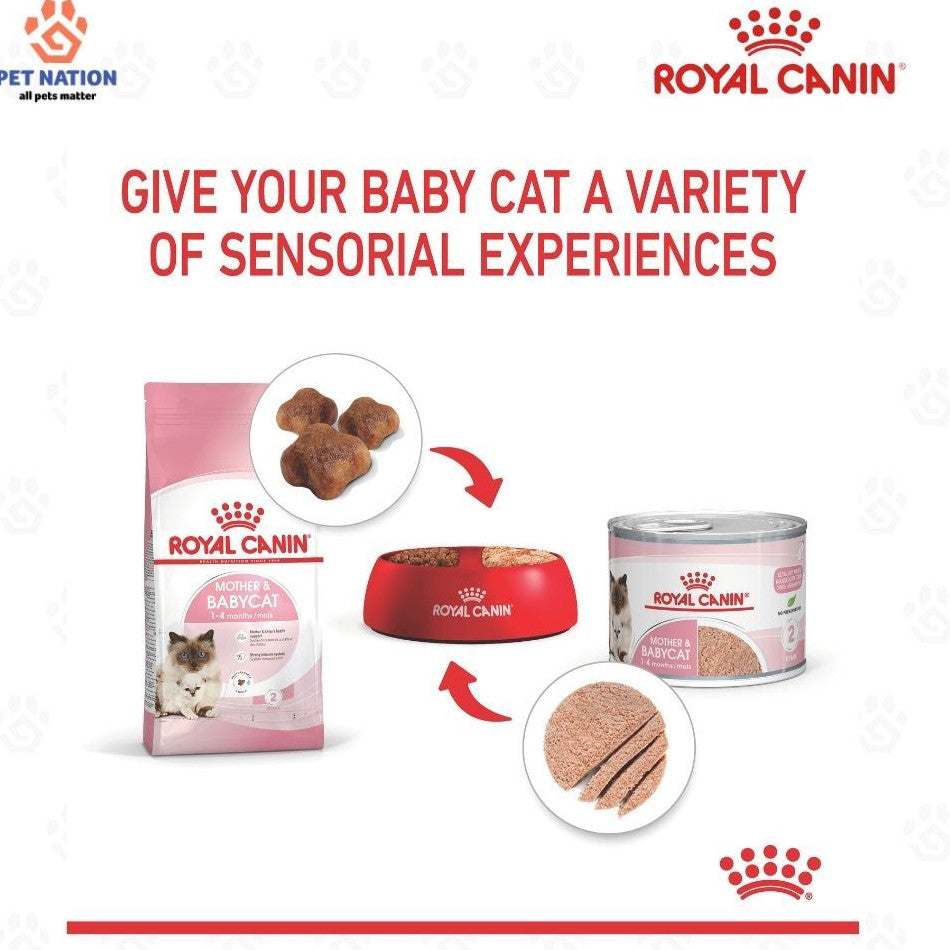 Royal Canin Mother & Babycat Ultra Soft Mousse Wet Cat Food 195g x 12 for Kittens & Queens