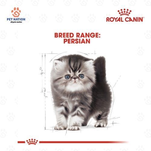 Royal Canin Persian Kitten 2KG/10KG Dry Cat Food