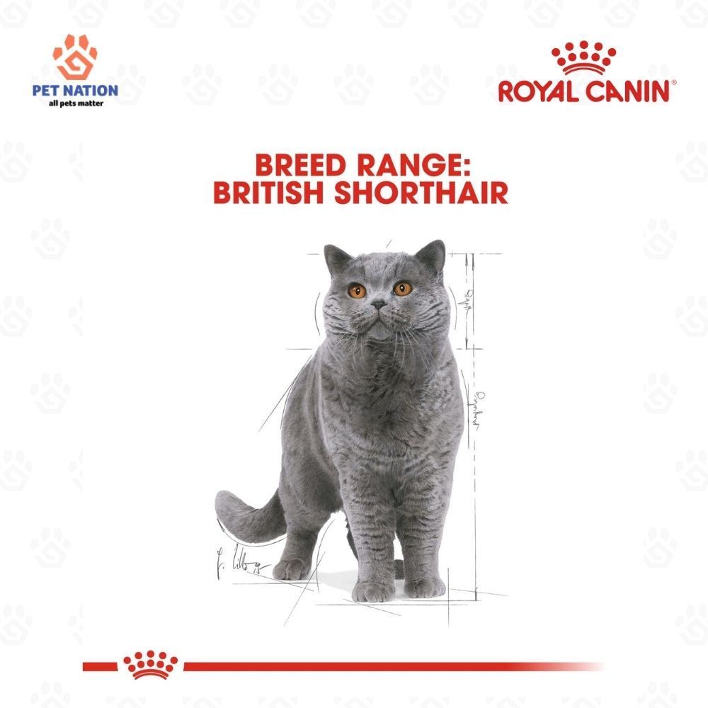 Royal Canin British Shorthair Adult Wet Cat Food in Gravy 85g Breed Specific Complete Feed