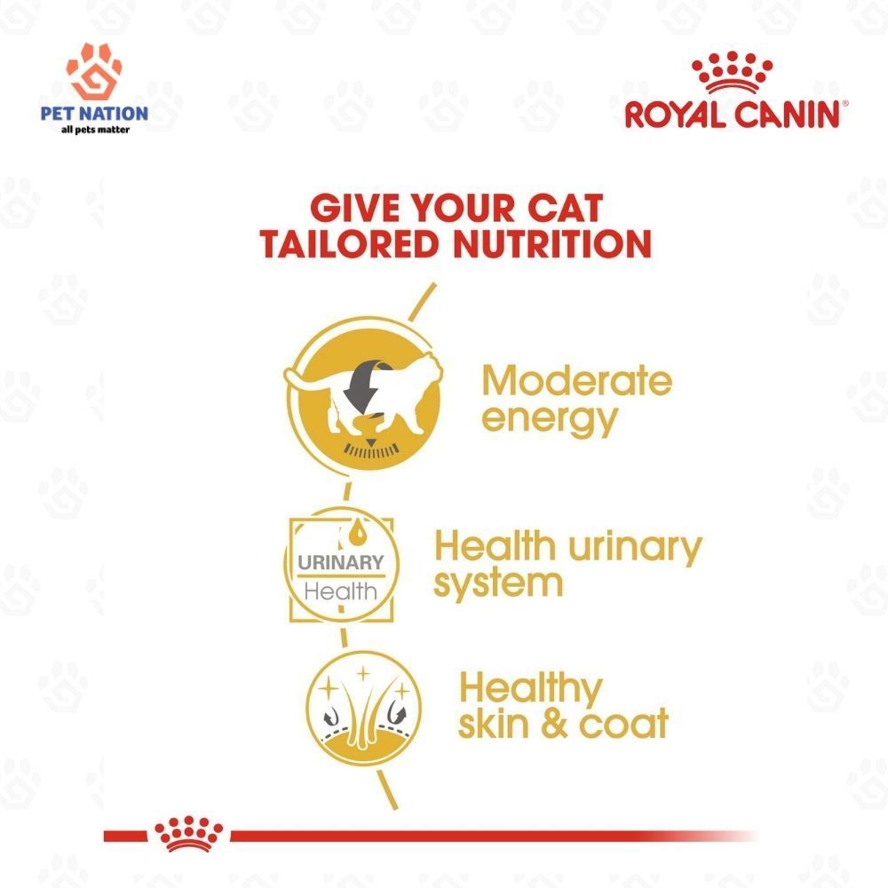 Royal Canin British Shorthair Adult Wet Cat Food in Gravy 85g Breed Specific Complete Feed