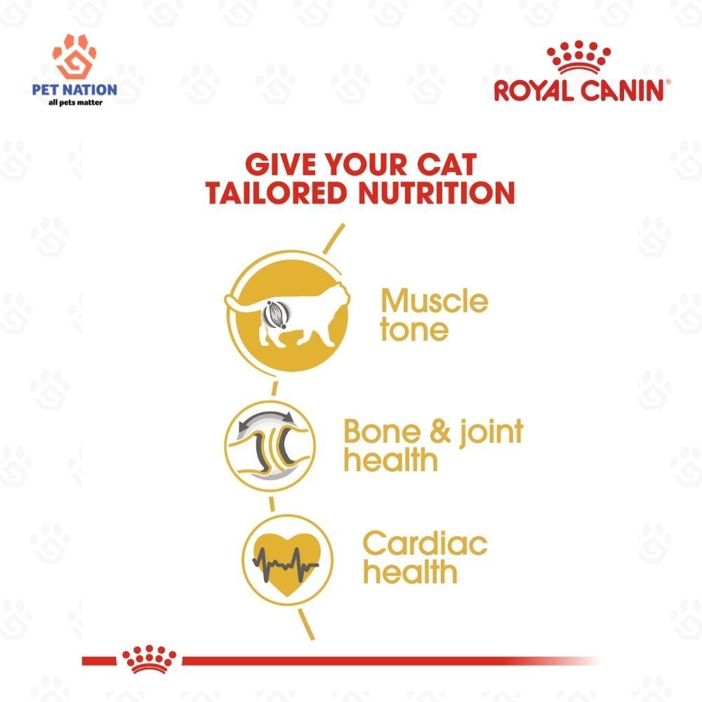 Royal Canin British Shorthair Adult Dry Cat Food 2kg Breed Specific Formula for Cats