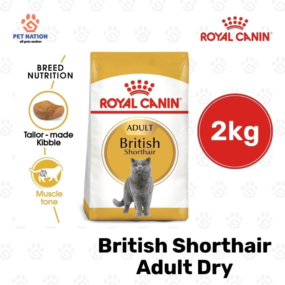 Royal Canin British Shorthair Adult Dry Cat Food 2kg Breed Specific Formula for Cats