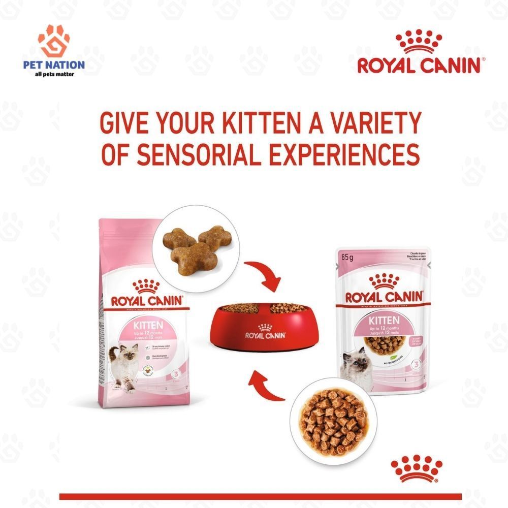 Royal Canin Kitten Instinctive Gravy Wet Cat Food 85g x 12