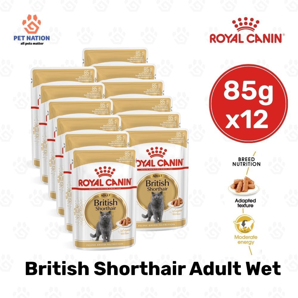 Royal Canin British Shorthair Adult Wet Cat Food in Gravy 85g Breed Specific Complete Feed