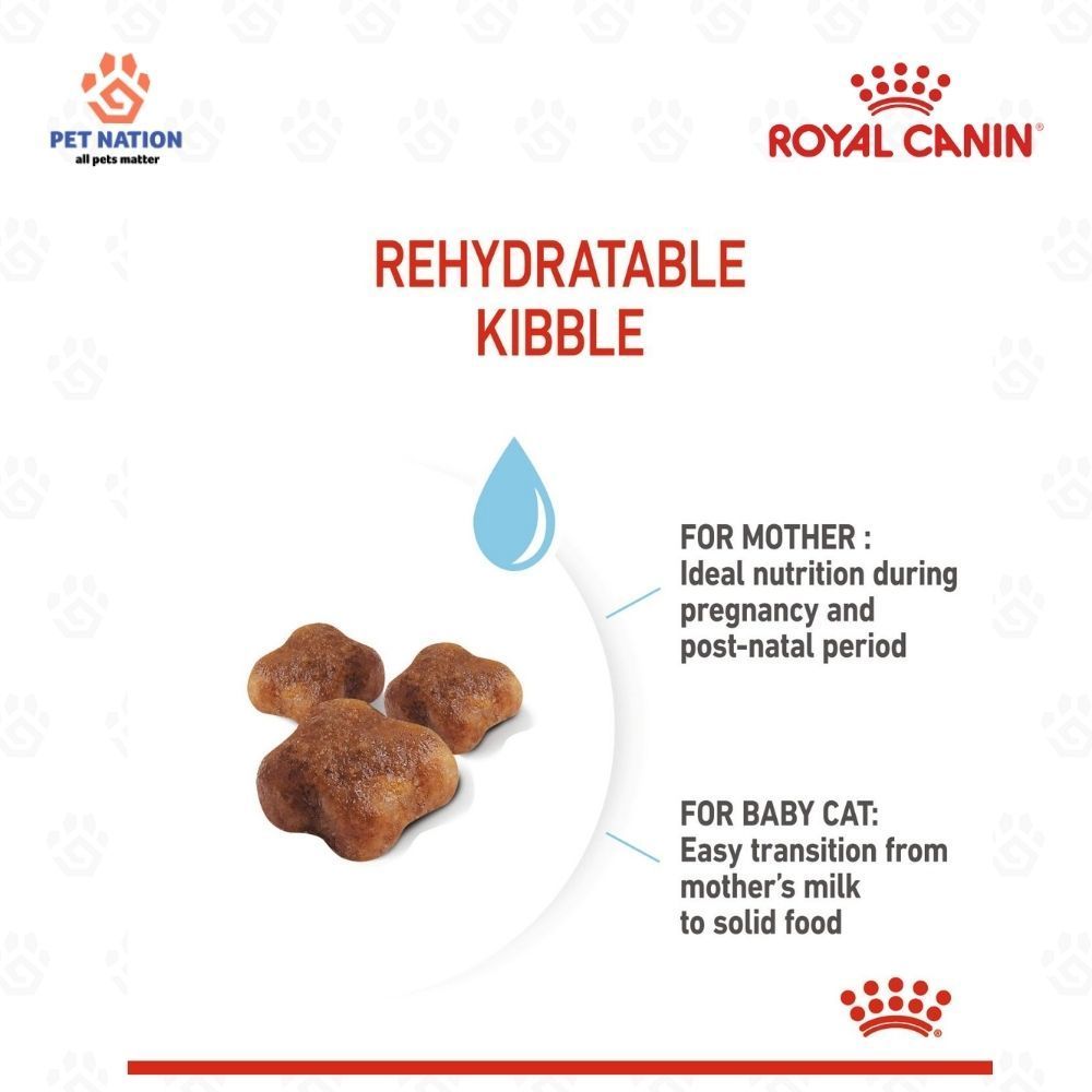 Royal Canin Mother & Babycat Dry Cat Food 400g