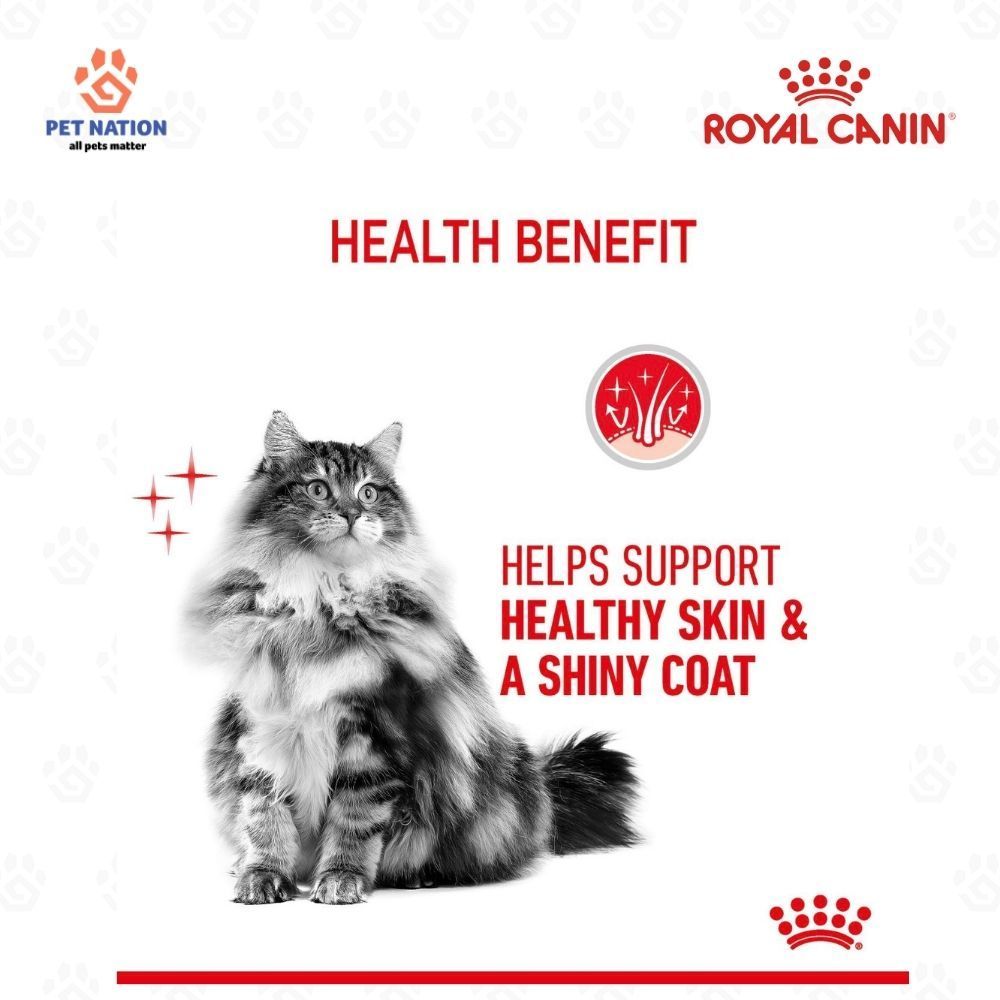 Royal Canin Hair & Skin Adult Wet Cat Food 85g x 12